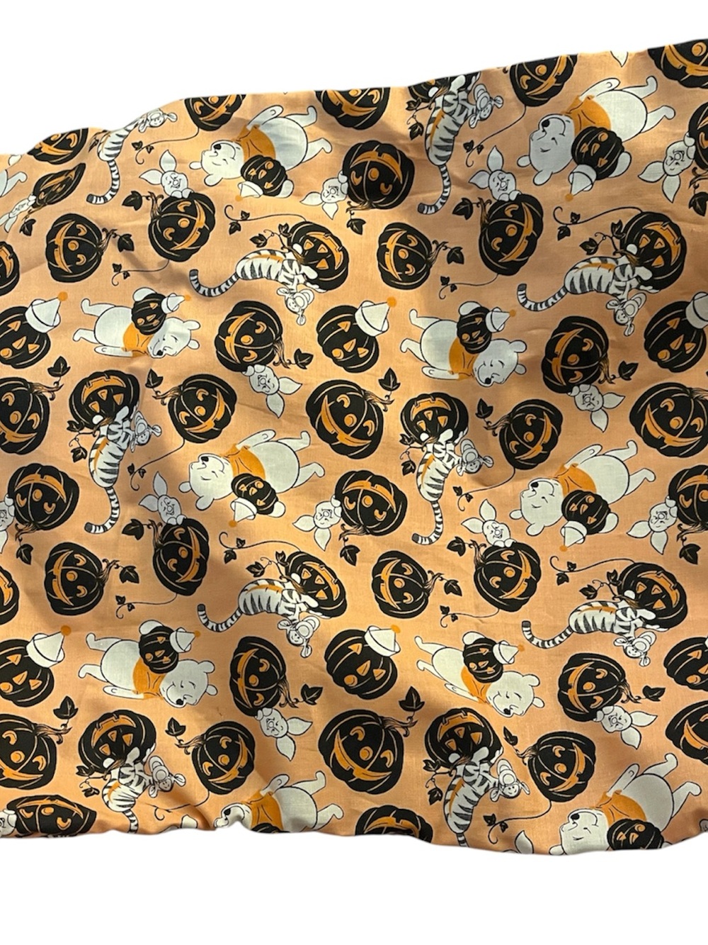 Halloween Winnie The Pooh Pillow Case/Cover 14 inch by 14